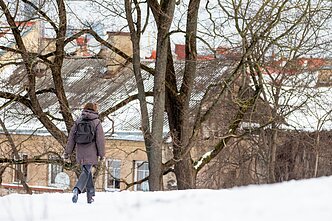 Vilnius