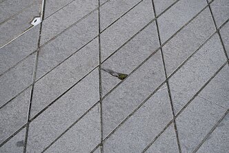 Поврежденная плитка на Лайсвес Аллее