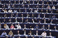 Europos Parlamentas / Asociatyvi