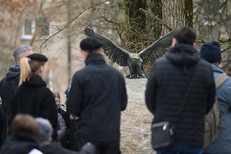 Odsłonięcie pomnika bohatera Szymona Konarskiego w Wilnie