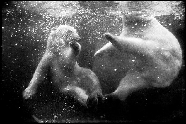 Sylvia Plachy. „Gus and Ida“, 1988