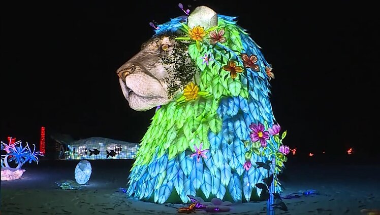 Pakruojo dvaro parke – jau penktasis žibintų festivalis: šviečia apie pusšimtį „drakonų, mitų ir legendų“ žibintų