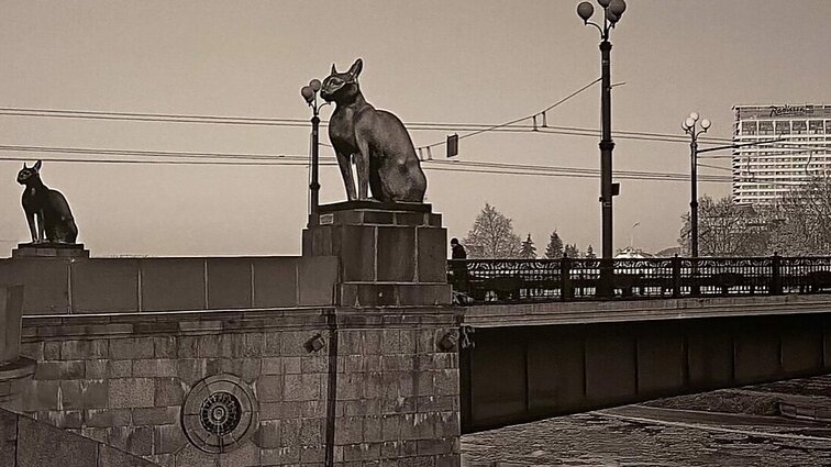 Ant Žaliojo tilto kates patupdyti siūlantis grafikos dizaineris: ironiškas variantas, bet kačiukus juk visi myli