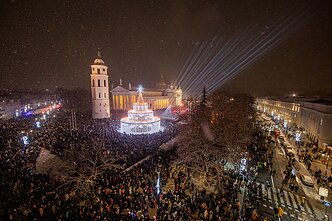 Vilniaus Kalėdų eglė