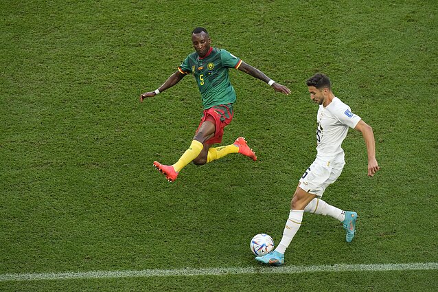 FIFA pasaulio futbolo čempionatas. G grupė. Kamerūnas – Serbija