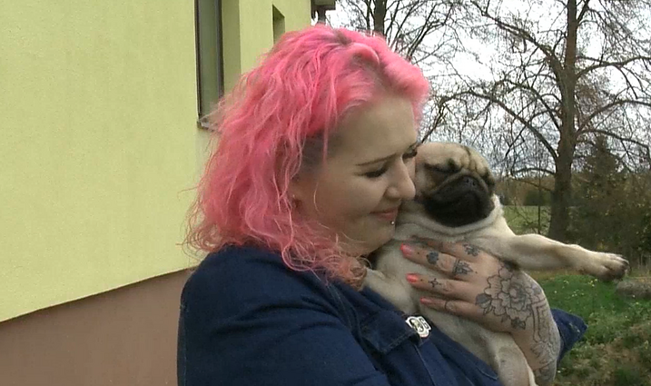 Viltis ir galimybė sveikti: niekam nereikalingus šunis lietuvė slaugo savo įkurtame pensione