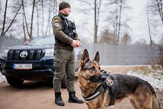 Tarnybinis pasieniečių šuo, asociatyvi nuotr.