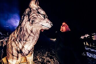 Фестиваль света "Книга джунглей" / Фото организатора