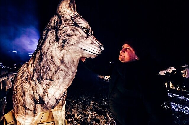 Фестиваль света "Книга джунглей" / Фото организатора