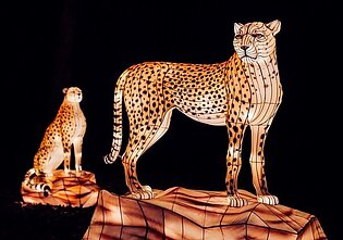 Фестиваль света "Книга джунглей" / Фото организатора