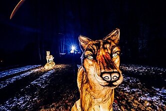 Фестиваль света "Книга джунглей" / Фото организатора