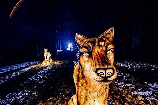 Фестиваль света "Книга джунглей" / Фото организатора