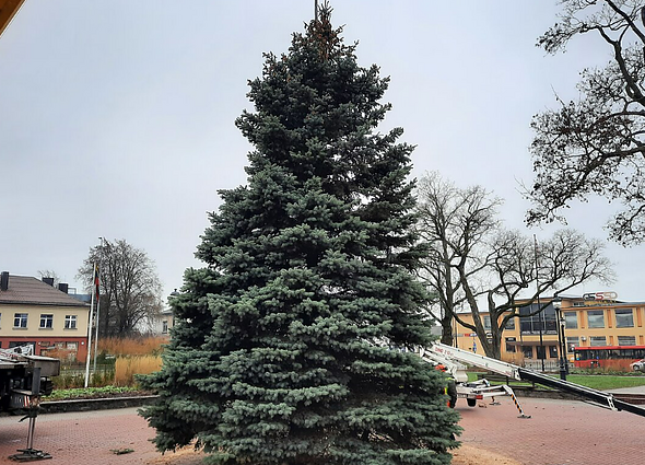 Labas rytas, Lietuva! Šeštadienis II d. Kalėdų laukimu pradės gyventi ir Kretinga: vakare bus įžiebta gyva elgutė