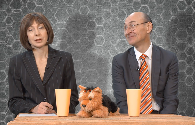 Dviračio žinios. Nekilnojamojo turto brokeris: pirkit, kol nekilnojamasis turtas netapo neįkainojamu turtu