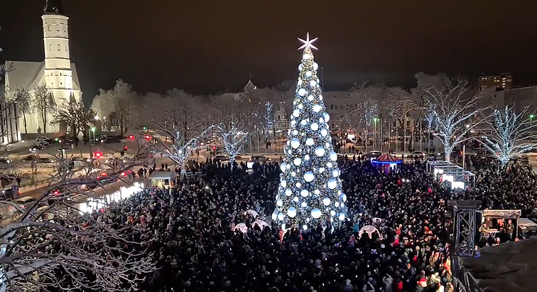 Šiaulių miesto eglė