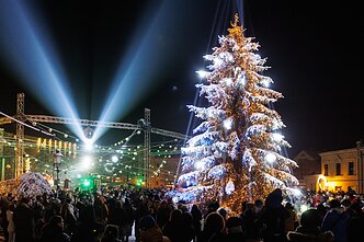 Klaipėdos Kalėdų eglės įžiebimo šventė Klaipėdos Kalėdų eglės įžiebimo šventė