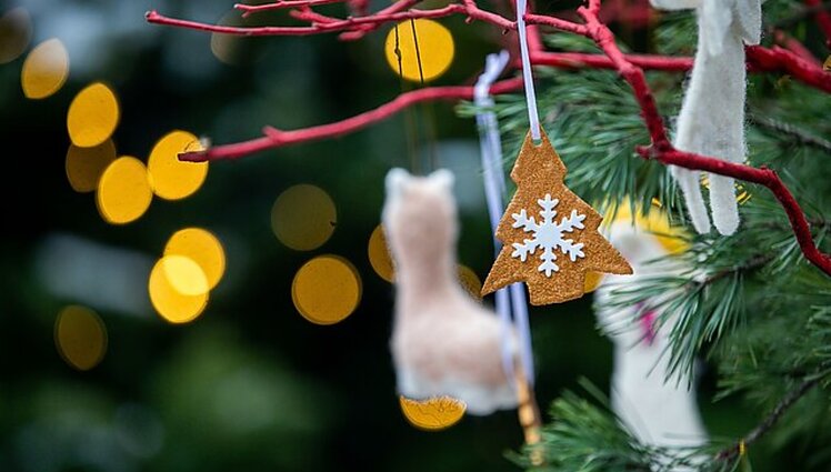 Pirmą kartą pasaulyje eglė panaudota rengiantis švęsti Kalėdas 1510-aisiais: kokiame Europos mieste tai įvyko?