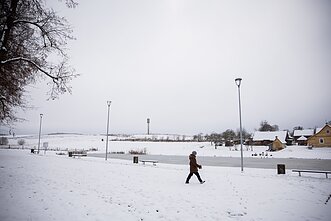Bujwidze