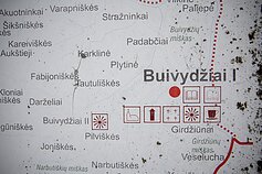 Bujwidze
