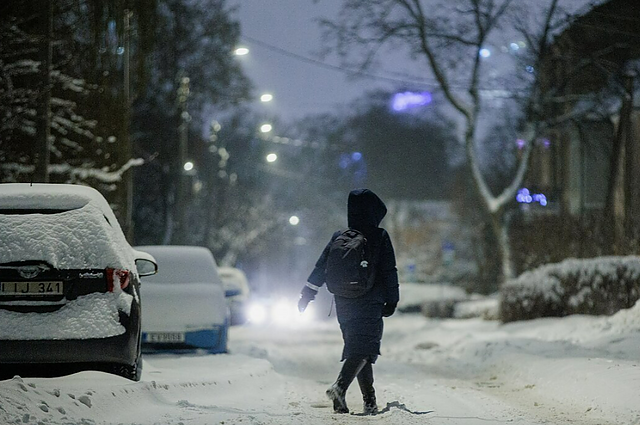 Politologas: iškritus sniegui laukiame, kad savivaldos atstovai taptų ūkininkais ir visą dėmesį sutelktų gatvių valymui