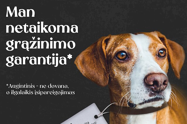 Gyvūnas – ne dovana