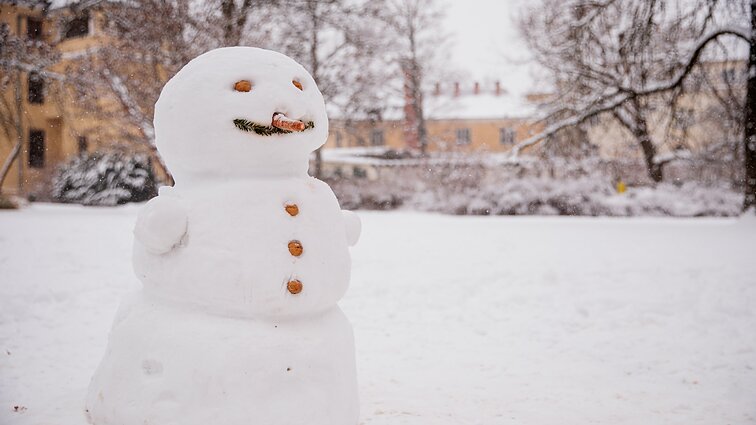 Baltų Kalėdų galime sulaukti ne visoje Lietuvoje: sinoptikė sako – pakanka vienos nakties, kad sniego apylinkėse neliktų
