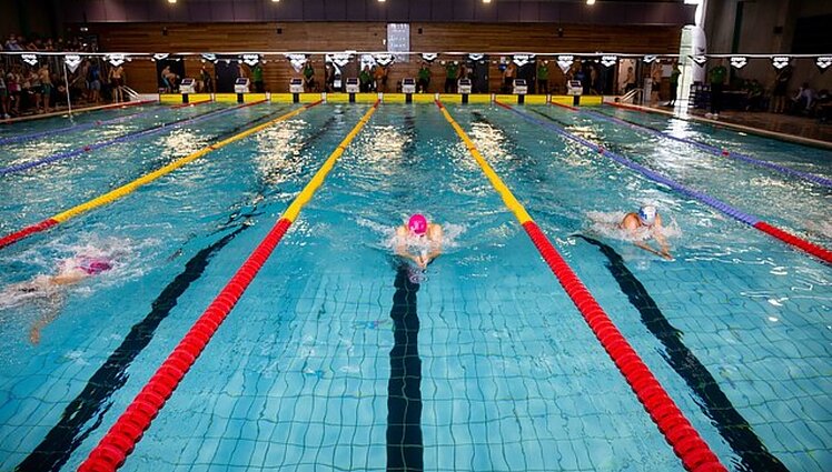 Lietuvos plaukimo čempionatas (25 m). 1 diena. Finalai