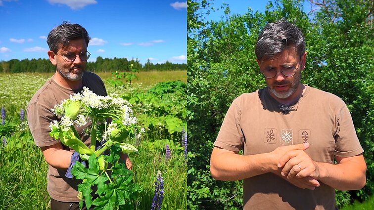Sosnovskio barščio pavojų pajautęs Čepulis: vėliau supratau, kad galėjo baigtis liūdniau