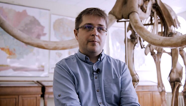 Istorijos detektyvai. Pasakojimai apie tvaną lietuvių tautosakoje, Saltoniškių pavadinimo kilmė ir ananaso kelias į Lietuvą