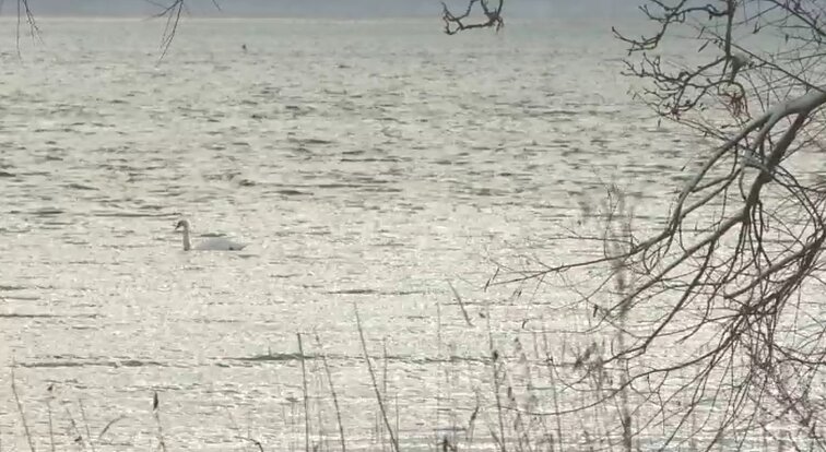 Gyventojai nepritaria Suvalkijos nacionalinio parko steigimui