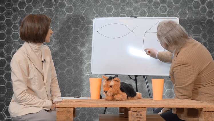 Dviračio žinios. Dienos tema