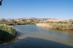 Paukščių stebėjimo rezervatas