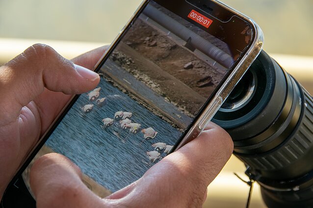 Paukščių stebėjimo rezervatas