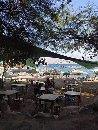 „Dolphin reef Eilat“