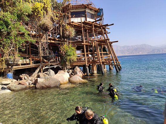„Dolphin reef Eilat“