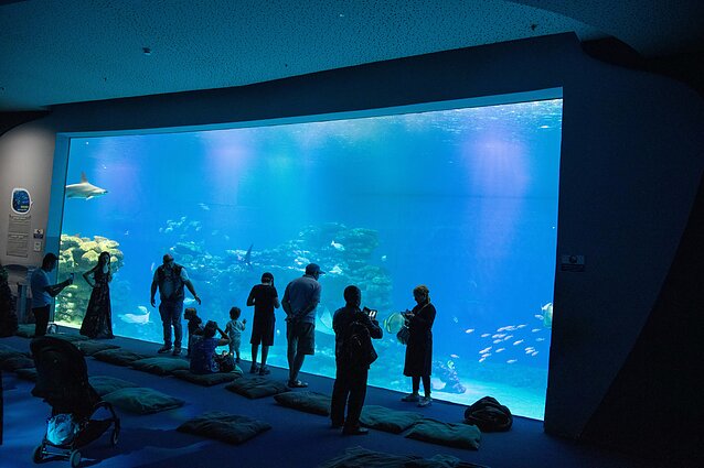 Povandeninė Eilato observatorija „Aqua Dome“