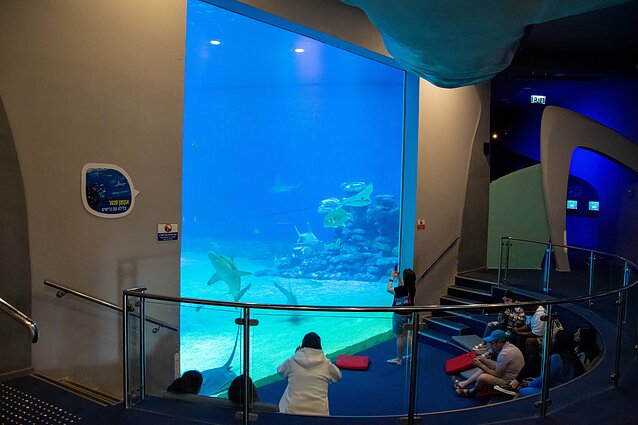 Povandeninė Eilato observatorija „Aqua Dome“