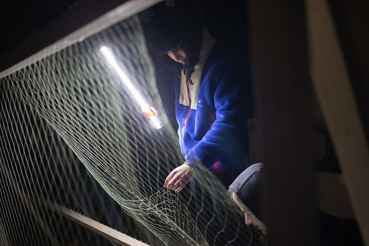 Volunteers prepare camouflage nets for Ukrainian troops on the frontlines. Volunteers prepare camouflage nets for Ukrainian troops on the frontlines.