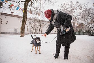 Šuo