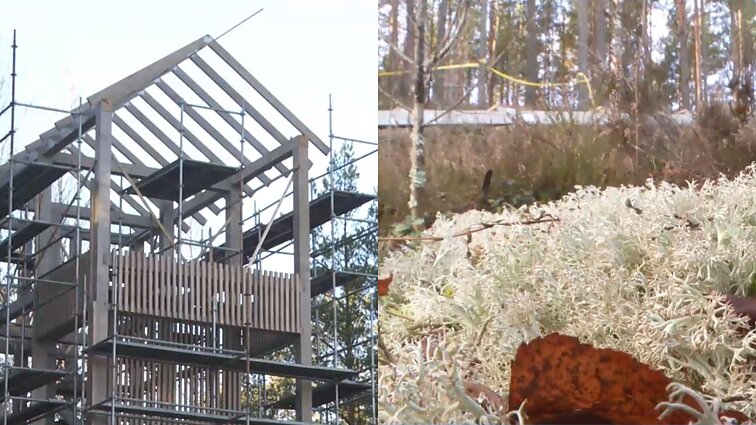 Naujas Čepkelių rezervato pažintinis takas: lankytojus džiugins ir apžvalgos bokštas