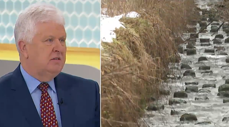 Paltanavičius apie neįprastai šiltus sausio orus: dėmesį turi atkreipti visi klimato krizės skeptikai