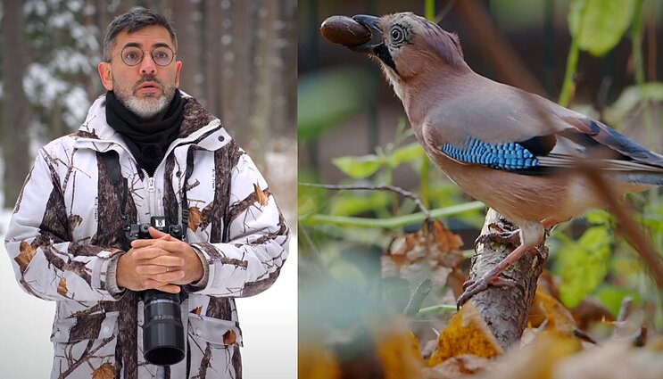 Gamtininko užrašai