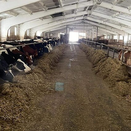 Gimtoji žemė. Pieno ūkio iššūkiai jaunam žmogui nebaisūs