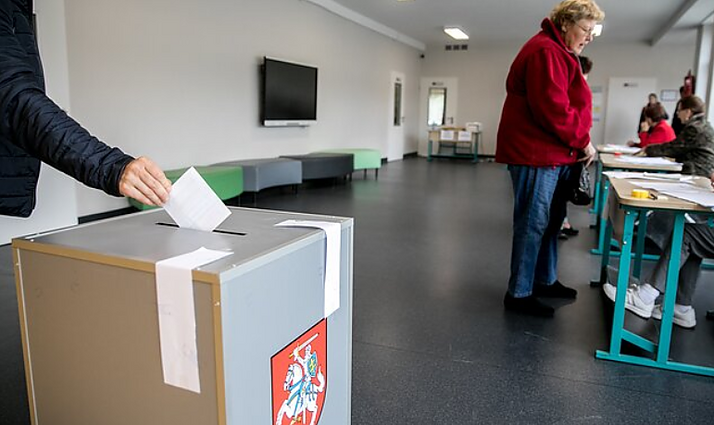 Politologė apie savivaldos rinkimus: partijos, ieškančios kandidatų, kartelę yra nuleidusios žemiau grindjuostės