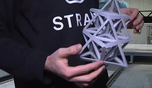 Startuolio svajonė – atspausdintas namas: su šiomis technologijomis eksperimentuojama visame pasaulyje