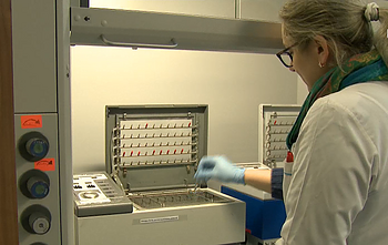 Teismo medicinos ekspertai