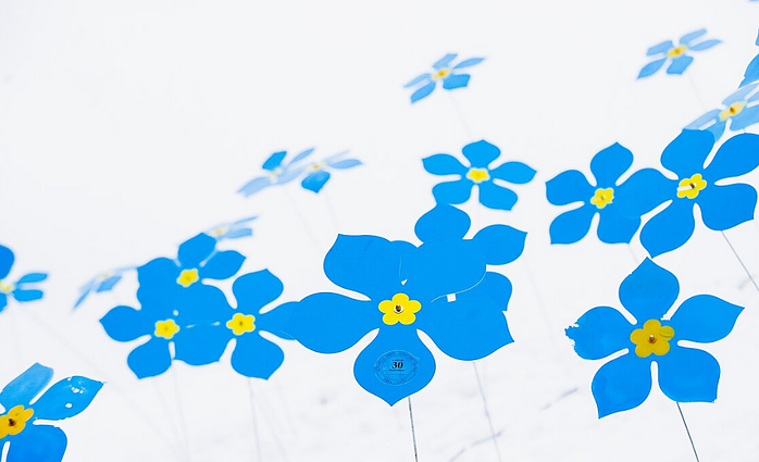 Pasigaminkite neužmirštuolę patys – tam puikiai tiks namie turimos medžiagos