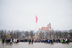 Flowers for Lithuanian and Ukrainian independence dot Vilnius park – in photos