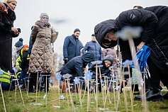 Flowers for Lithuanian and Ukrainian independence dot Vilnius park – in photos