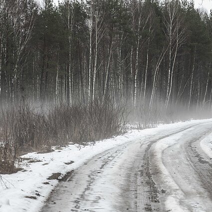 Gamta – visų namai. Su parama gyvūnams į Ukrainą